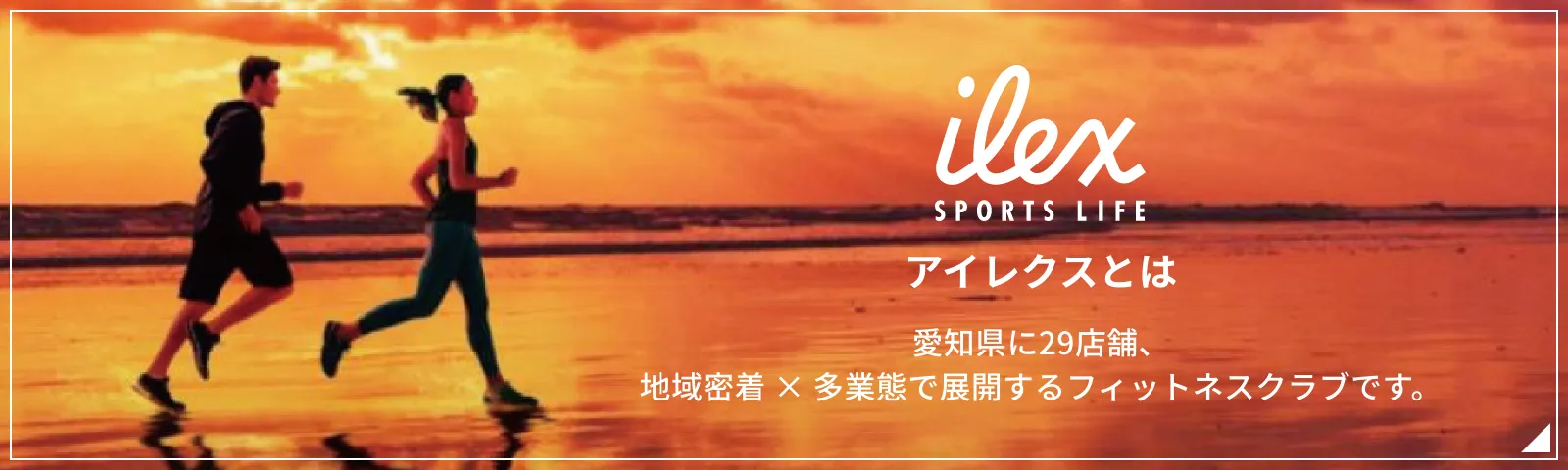 アイレクスとは